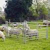 Sheep Yard Panel Scenario Application